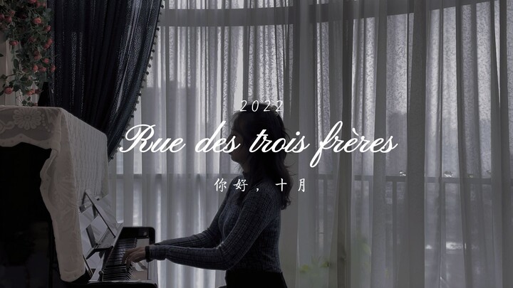 【法式小众钢琴曲】Rue des trois frères：你来的次数少了 猫开始不喜欢你了 我也是