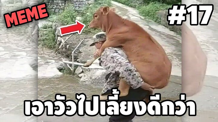 ภาพนี้ก็ฮาเหมือนกันนะเนี้ย #17 SS7 [ พากย์นรก MEME.EXE ] | easy boy