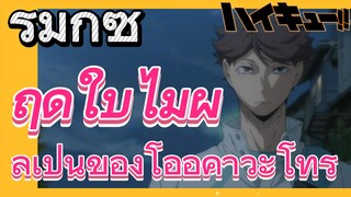 [ไฮคิว!! คู่ตบฟ้าประทาน] รีมิกซ์ | ฤดูใบไม้ผลิเป็นของโออิคาวะ โทรุ