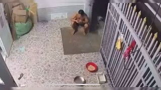 Khách không mời