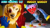 Thú Cưng Vlog | Chó Gâu Đần Golden Troll Mẹ #24 | Chó golden vui nhộn | Funny pets smart dog