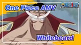 [One Piece AMV] Whitebeard: Apakah Aku Ayah Yang Berkualitas?