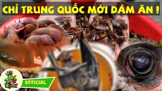 Những Món Ăn Của Người Trung Quốc Mà Không Quốc Gia Nào Dám Thử - Tốp 5 Kỳ Thú