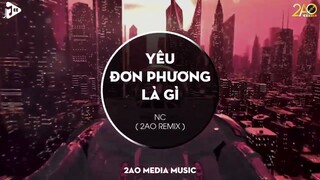 Yêu Đơn Phương Là Gì Remix - h0n (2AO Remix) | vậy yêu đơn phương là gì ngốc chẳng dám nói ra remix