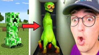 Minecraft Mobs But In Real Life