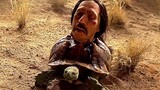 Head on a Turtle | Breaking Bad Season 2 | CLIP