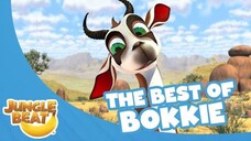 The Best of Bokkie - Jungle Beat Compilation [Full Episodes]