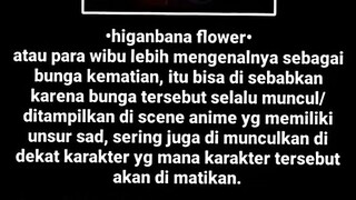 kutukan bunga merah kalo di anime melambang kan kematian🤔