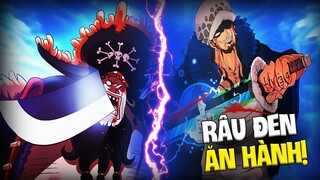 Đây Là Cách Law Đấm Râu Đen Vỡ Mộng - Vegapunk Chính Là Quân Cách Mạng 😱 | ONE PIECE 1064