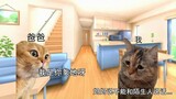 【Cat meme】My father who is my enemy and me who has face blindness
