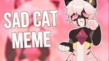 【meme animation】SAD CAT DANCE || MEME