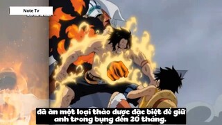 Top 7 Người Có _Ý Chí Của D_ Trong One Piece #24- 4