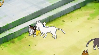 Doraemon: Nobita puts on a cat mask and experiences the hardships of being a cat!