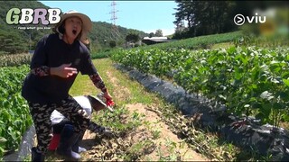 Farm Life of the Chaotic Besties! | Teaser: GBRB: Reap What You Sow | Viu