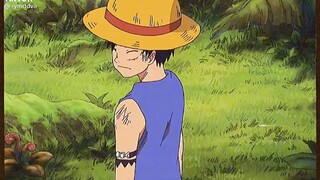 Luffy! OnePiece!