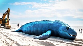 360° - Bloop BEACHED in REAL LIFE!