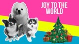 Joy to the World but it's Doggos and Gabe