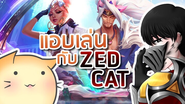 แอบเล่นกับ Zed Cat