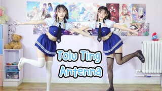 宅女的自嗨时间到！♪(´ε｀ )【Tolu Ting Antenna】