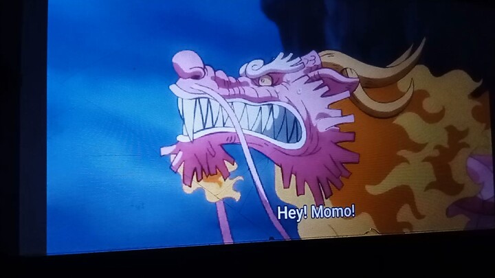 One piece 1074 "Momo i trust you"---Luffy