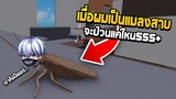 Roblox เมื่อผมเป็นแมลงสาบ555+ (POV You are a cockroach in my house)