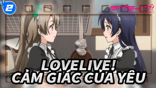 lovelive!|[[Seto] Cảm giác của yêu_2