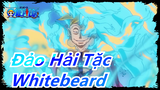 [Đảo hải tặc] "Whitebeard mà bạn chưa bao giờ thấy" / Tất cả thành viên của nhóm