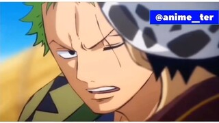 Hanya luffy yang bisa nakutin zoro,zoro vs law