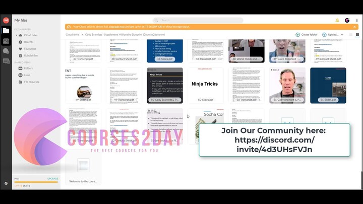 Cody Bramlett - Supplement Millionaire Blueprint Download