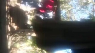 Live Video