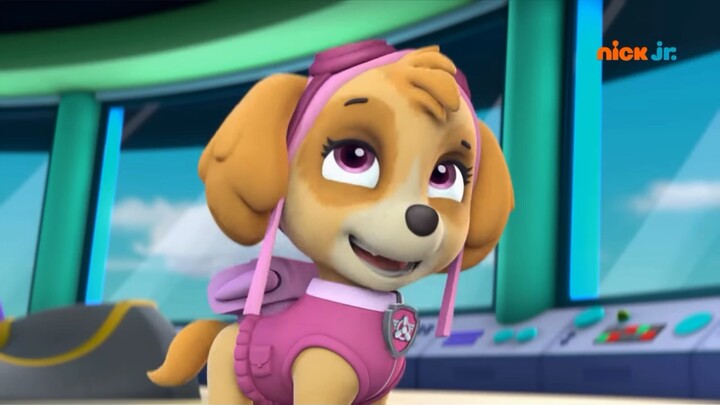 Paw Patrol Season 4 Episode 1 Pups Save a Blimp