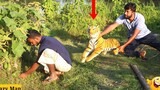 แกล้งเสือในที่สาธารณะ !! วิดีโอเล่นตลก Tiger vs Crazy Man (ตอนที่ 03) Mr Masti Tv