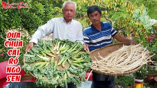 Cách Ông 5 Châu Đốc Làm Dưa Chua Cải Rổ Ngó Sen Xào Thịt Bò Bằng Phương Pháp Lên Men Tự Nhiên | NKGĐ