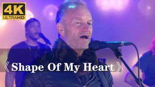 "Shape Of My Heart" - Sting | Bản Live OST "Léon" Đến Rồi!