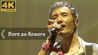 เวอร์ชันคอนเสิร์ต"Life Like Summer Flowers"ของPuShuโลกช่างสวยงาม