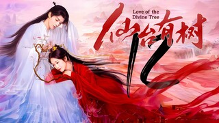 EP12 LOTDT: Sendai Tree (2025)