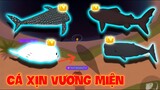 (Play Together) Những góc câu Lỗi lên toàn Cá Xịn Vương Miện