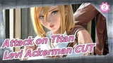 [Attack on Titan] Compilation Of Levi Ackerman CUT_D2