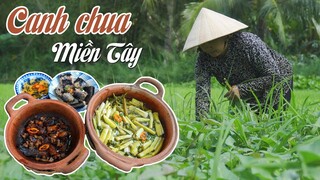 CÔ BA MIỀN TÂY ✅ CANH CHUA CÁ TRÊ ĐỒNG