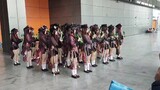 miyosummer】Ketika sekelompok coser mengguncang kenari (dengan bgm)