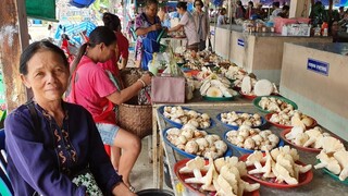 "เก็บเห็ดระโงก" กับแม่เอามาขายตลาด ป้าดๆ เห็ดเต็มตลาด!!