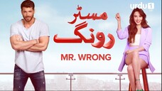 Mr Wrong Hindi Dubbed 1080p Season 1 Episode 01