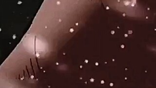 One Piece Highlights