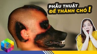 Kinh Ngạc 5 Dị Nhân Phẫu Thuật Thành Quái Vật - Số 4 Sốc Nhất Thế Giới [Top 1 Khám Phá]