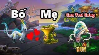 Dragon City || Gia Đình Nhà BÉ CÁ SẤU || Vũ Liz Mobile