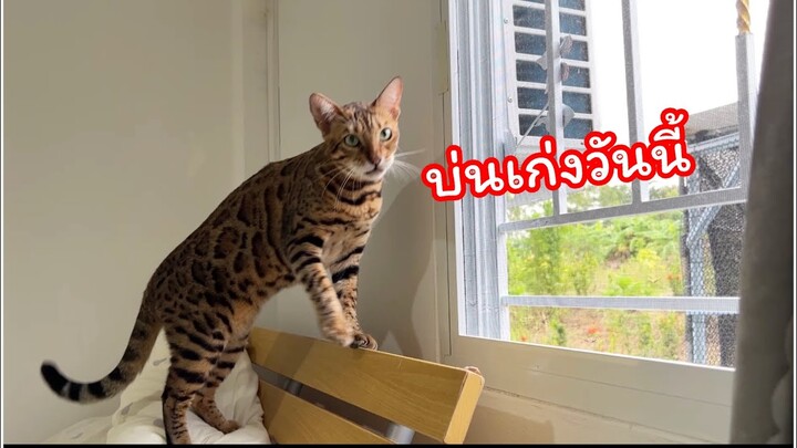 บ่นเก่งมากวันนี้ไม่รู้อะไรของพี่เอ็ม