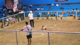 1st fight 3 hits champion at Pasig square