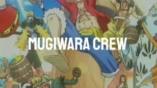 Mugiwara crew