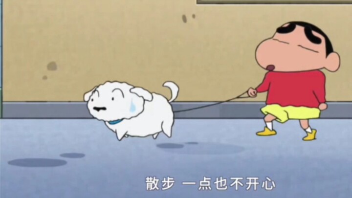 Crayon Shin-chan: After Xiaobai became fat, he seemed like a chubby little sheep.