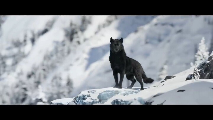 Call of The Wild |Trailer|